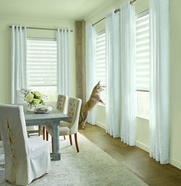 2019_DS_SP_DBS_Perris_Dining-Room_Dog