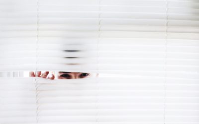 Shutter, Shades, and Blinds – Oh my!